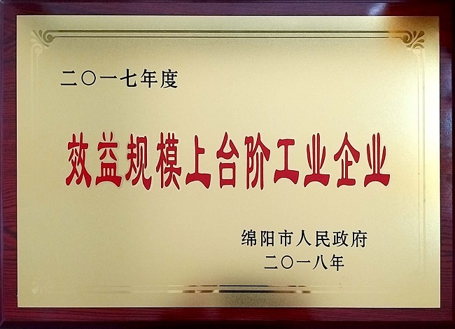 2019-1-4 2017年度效益規(guī)模上臺階企業(yè) - 副本 - 副本.jpg